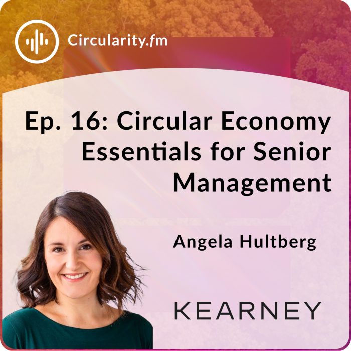 Circular Economy Essentials for Senior Management