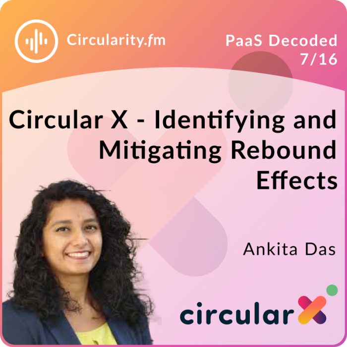 Circular X - Identifying and Mitigating Rebound Effects